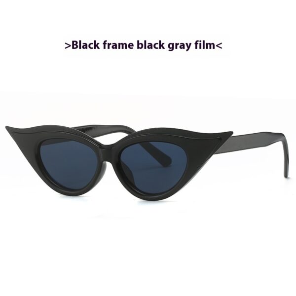 Cat Eye Pointed Model Style Sunglasses - Image 8