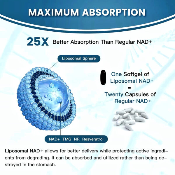 Abronikey NAD Cell Regenerator And Resveratrol Elite Nads Niacinamide Riboside Supplement With Trans Resveratrol, Quercetin, Energy,Focus 90 Capsule Dietary - Image 6