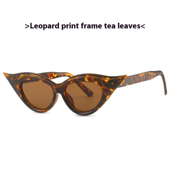 Cat Eye Pointed Model Style Sunglasses - Image 4