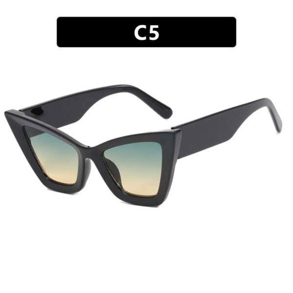 Large Frame Cat Eye Simple Sunglasses - Image 9