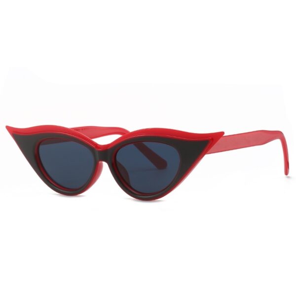 Cat Eye Pointed Model Style Sunglasses - Image 7