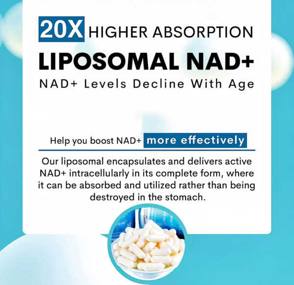 Abronikey NAD Cell Regenerator And Resveratrol Elite Nads Niacinamide Riboside Supplement With Trans Resveratrol, Quercetin, Energy,Focus 90 Capsule Dietary - Image 2