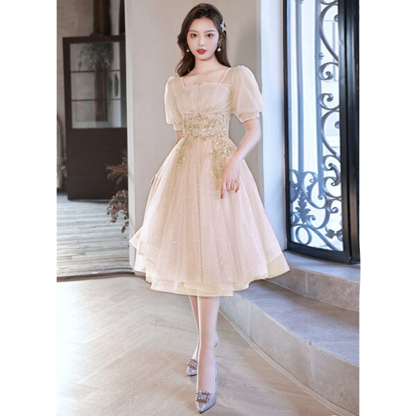 New Birthday Banquet Party Elegant Socialite Host Fairy Slim Evening Dress For Women - Image 6