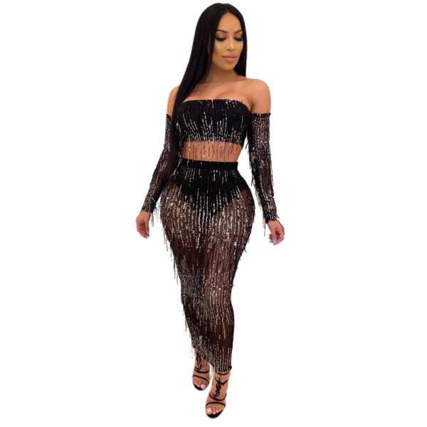 Fashion Sexy See-through Mesh Sequins Tassel Two-piece Set - Image 4