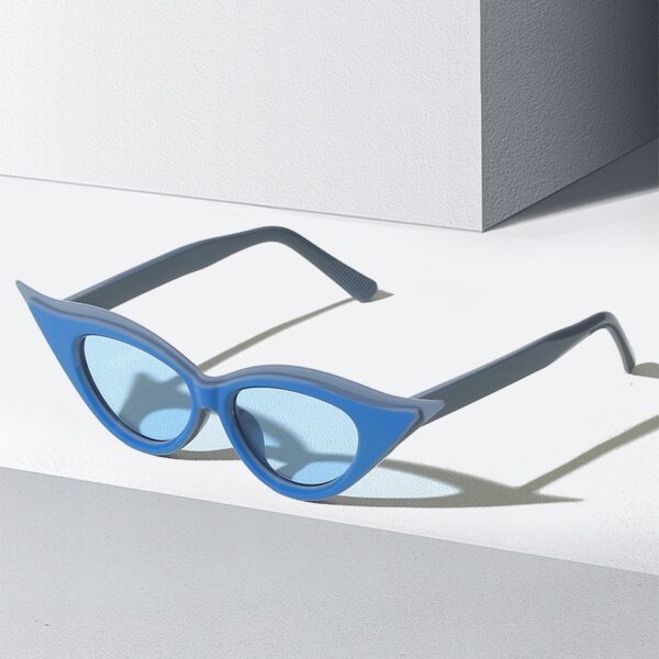 Cat Eye Pointed Model Style Sunglasses - Image 9