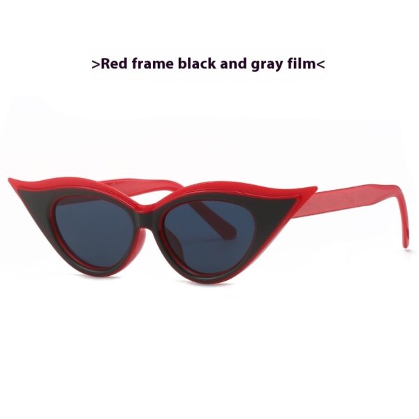 Cat Eye Pointed Model Style Sunglasses - Image 2