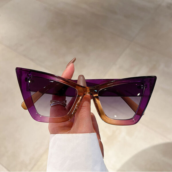 Large Frame Cat Eye Simple Sunglasses - Image 10