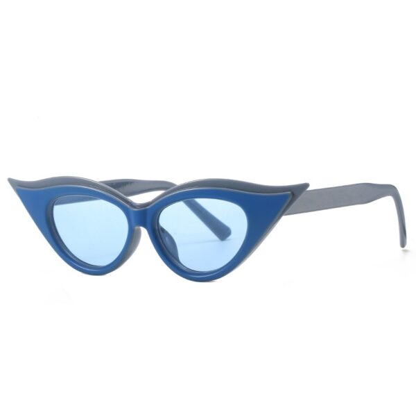 Cat Eye Pointed Model Style Sunglasses - Image 10